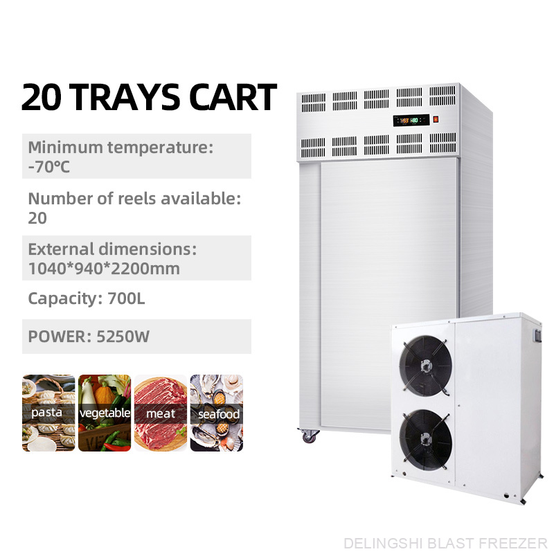 20 Trays Air Cooled Split Type Freezer - Image 3