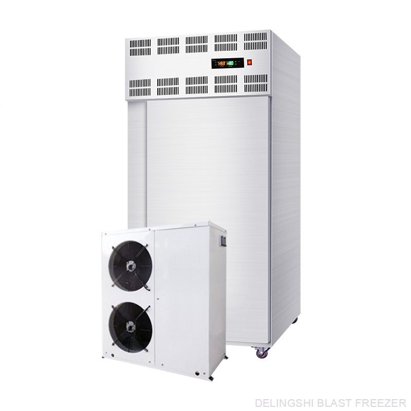 20 Trays Air Cooled Split Type Freezer