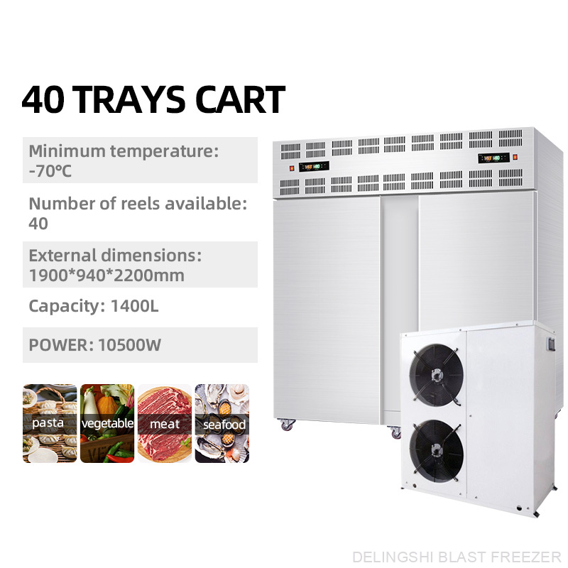 40 Trays Air Cooled Split Type Freezer - Image 3