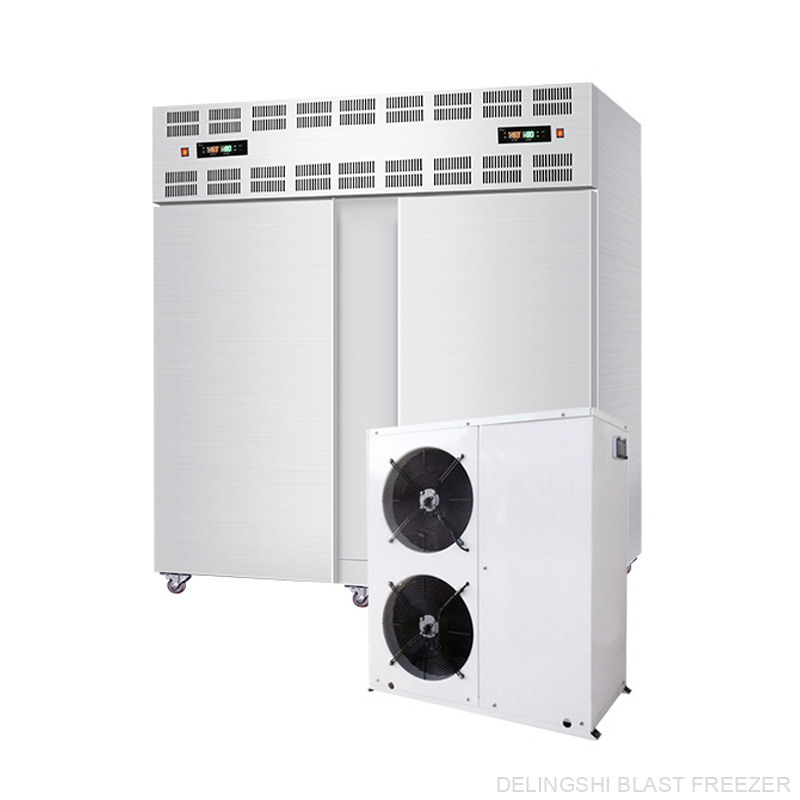 40 Trays Air Cooled Split Type Freezer