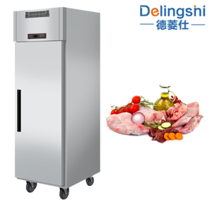 Single Door Upright Freezer