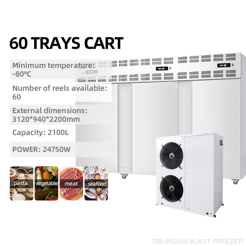 60 Trays Air Cooled Split Type Freezer - Image 6